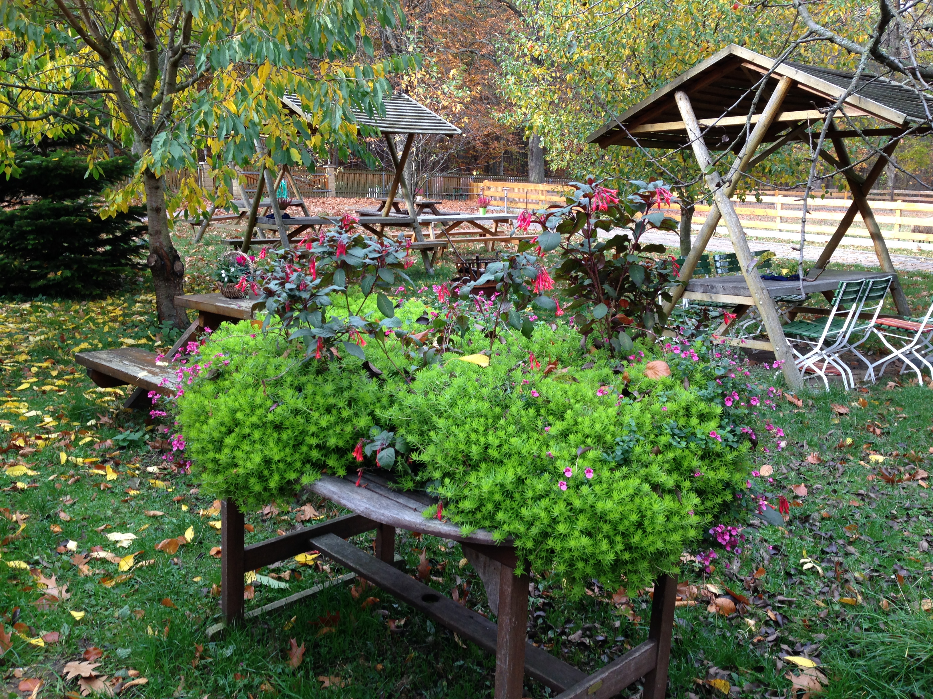 Der Hebst hält Einzug im Waldcafé